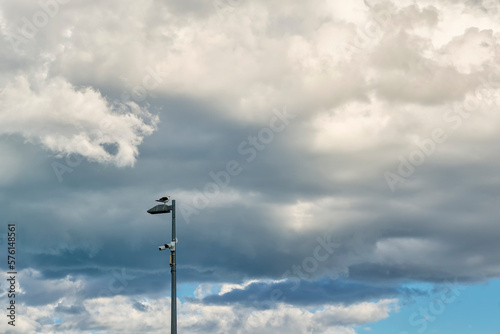 a seagull perched on a beach lamppost