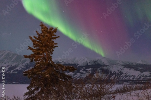 Aurora borealis with pink, red, green colors seen behind a towering mountain in Yukon Territory, Canada during winter season with snow. 