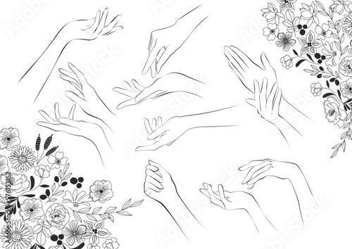 美しい手,線画,シンプルライン、黒線、ベクター