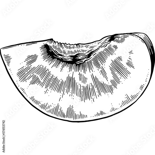 Hand drawn Plum Slice Sketch Illustration