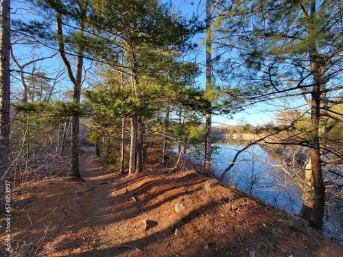 Woods in Winter - Cape Ann, Massachusetts, USA