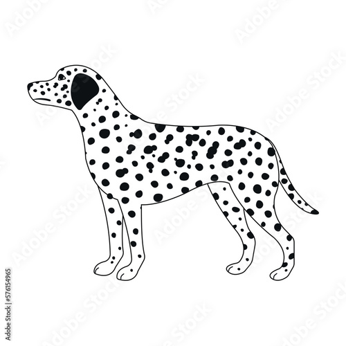 Vector flat hand drawn dalmatian dog isolated on white background