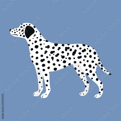 Vector flat hand drawn dalmatian dog isolated on blue background