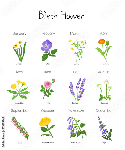 set of birth flower 