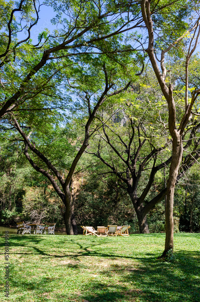 sitting in the park amidst lush green trees sitting in the park amidst lush green trees