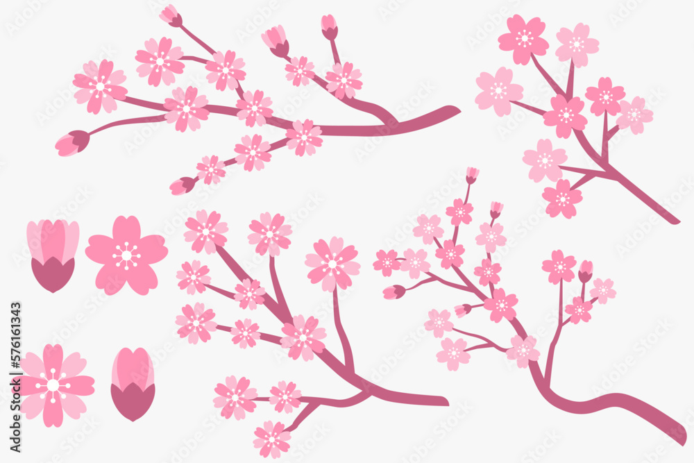 flat design cherry blossom, sakura branches and flowers collection