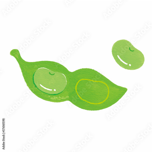 えだまめ　豆類　野菜　手描き　イラスト
