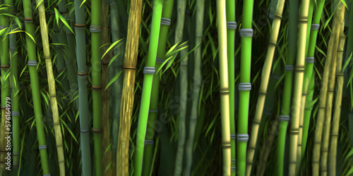 Bamboo texture  Natural bamboo seamless wall pattern