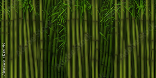 Bamboo texture  Natural bamboo seamless wall pattern