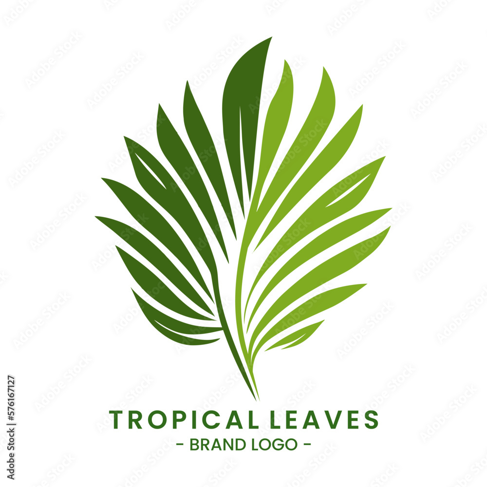 Palm leaf vector illustration isolated on a white background suitable for logo design or card invitation