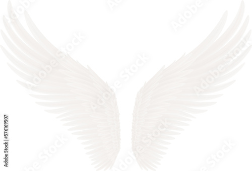 Fototapeta Naklejka Na Ścianę i Meble -  angel wings