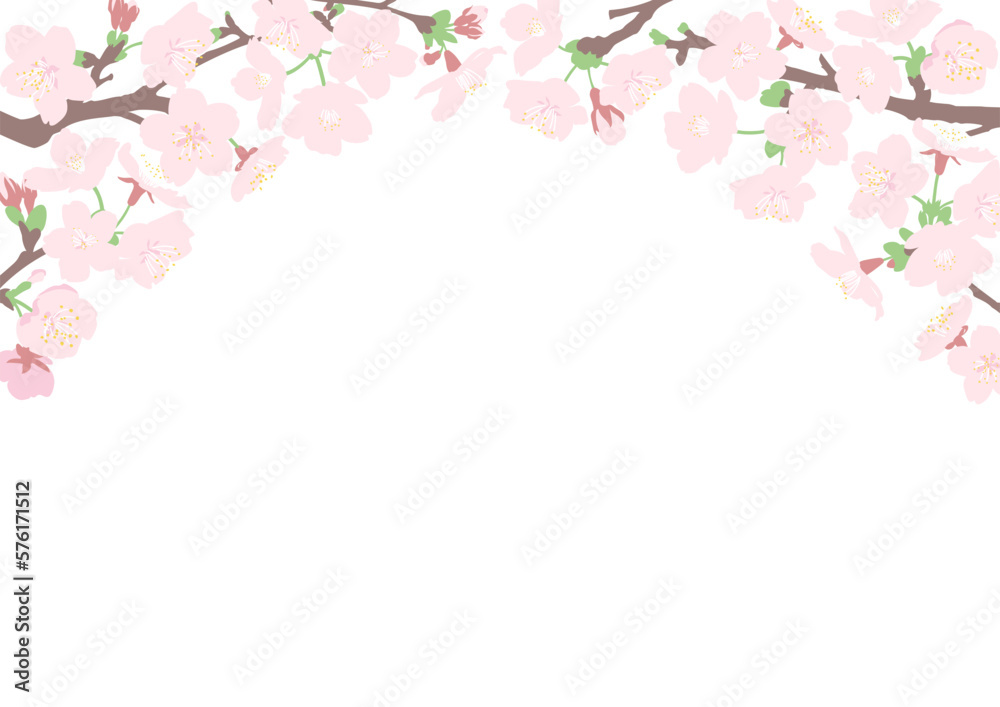 桜の花のトンネルのフレーム　白背景　A4横型