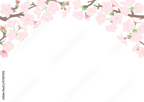 桜の花のトンネルのフレーム 白背景 A4横型