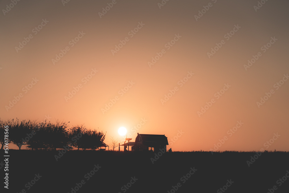 Fototapeta premium a sunset pasture
