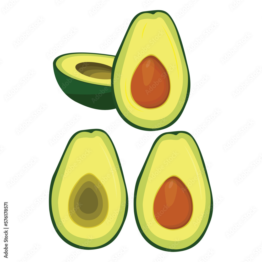 Vector illustration of fresh whole, half, cut slice avocado on white background. Summer fruits for healthy lifestyle. Organic fruit. Cartoon style. Vector illustration for digital resources