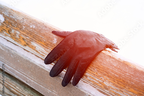 leather women's gloves forgotten on a bench in the park