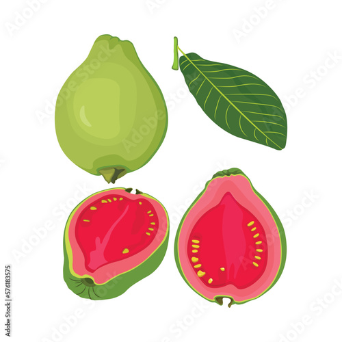 Vector illustration of summer tropical fruits for healthy lifestyle. Guava, whole fruit and half. Cartoon flat icon isolated on white background. Element for digital resources graphic fruit