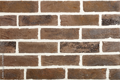 The background and texture of the wall are lined with brown aged bricks with rough cement joints.