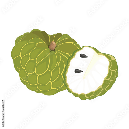 Vector illustration of custard apple whole fruit and half sliced isolated on white background. Cherimoya, annona reticulata, wild sweetsop, soursop, sugar apple icon for package design.