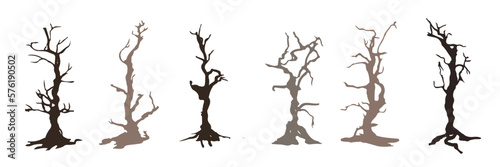 spooky trees, leafless dead wood, isolated on white background . vector ilustration