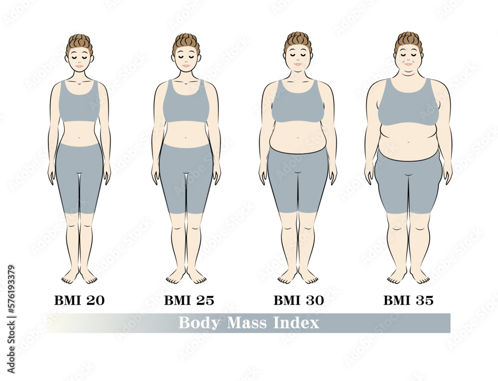 ボディマスインデックス 若い女性の体形変化 ダイエットのビフォーアフター 正面 イラスト ベクター	