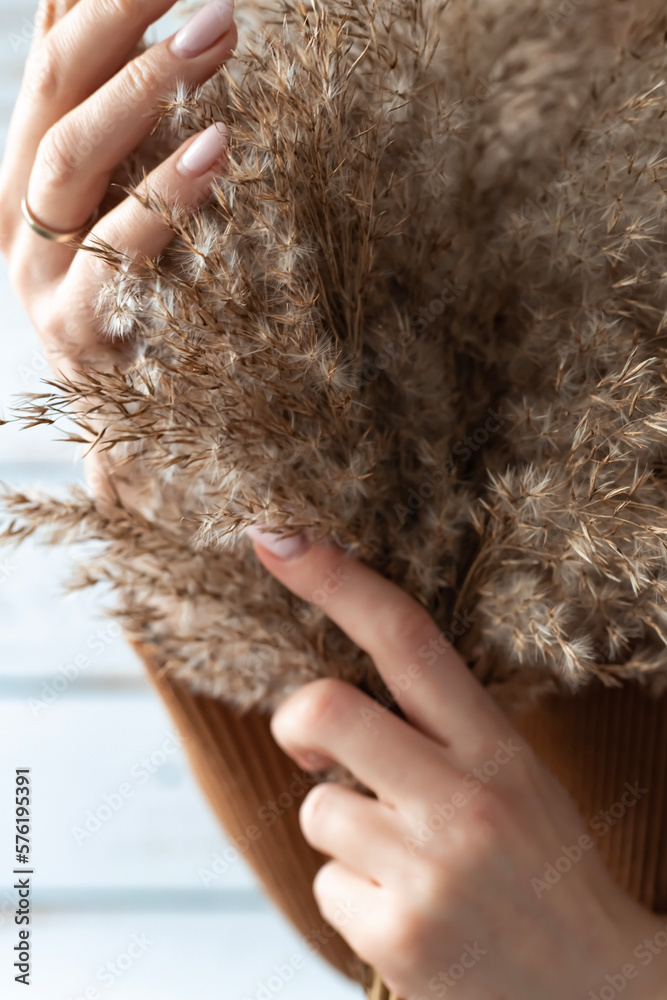 Bouquet of dried reed flowers in hands Bouquet of dried reed flowers in hands