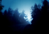 Night foggy forest road and ghosts