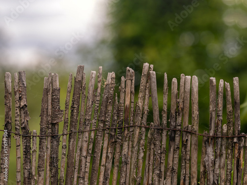 Simple wooden, tree branch garden fence