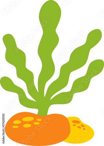Vector illustration of sea weed isolated on white background.