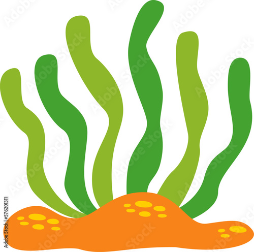 Vector illustration of sea weed isolated on white background.