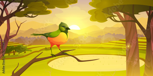Sunrise in forest with green bird on branch vector illustration. Cartoon morning forest background with sun light and rice plantation. Sunny asian green hill landscape with mountain silhouette.