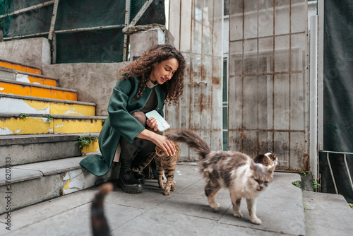 Photography Beautiful brunette woman touching cat on the street of Istanbul