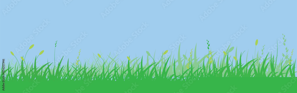 Fototapeta premium Green grass meadow border vector pattern. Spring or summer plant field lawn. Grass background.