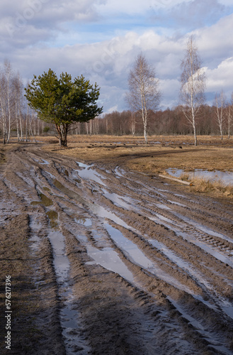 Spring dirt road passing through the beautiful countryside, destroyed by cars
