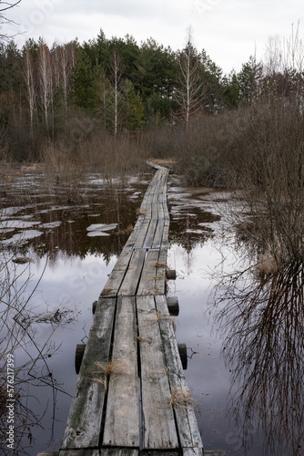 wooden masonry passing through the spring swamp