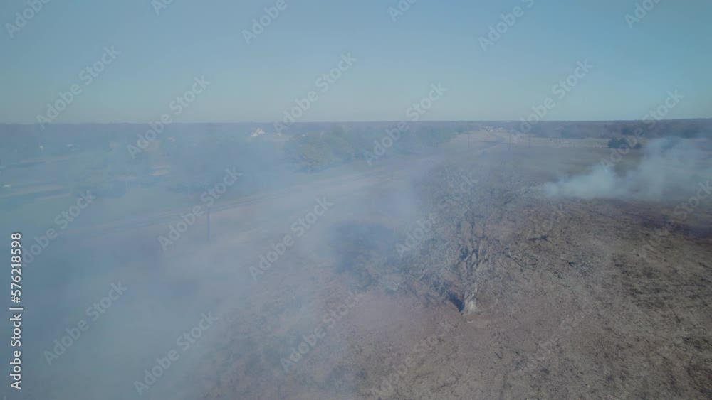 One tree on fire. Seasonal burning grass in Texas. Agriculture system updates grass. Huge smoke from burning grass One tree on fire. Seasonal burning grass in Texas. Agriculture system updates grass. Huge smoke from burning grass