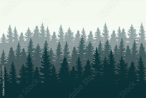 winter forest background. Pine forest landscape. Forest pine park. Fog and haze forest landscape.