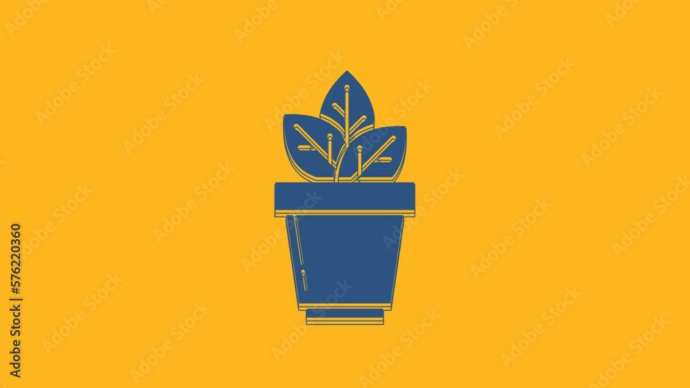 Blue Flowers in pot icon isolated on orange background. Plant growing in a pot. Potted plant sign. 4K Video motion graphic animation Blue Flowers in pot icon isolated on orange background. Plant growing in a pot. Potted plant sign. 4K Video motion graphic animation