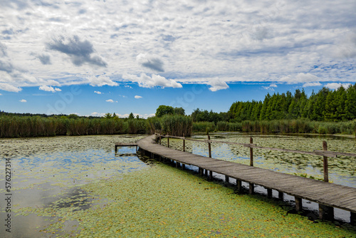 długi drewniany pomost na zbiorniku wodnym © Michał Gantkowski