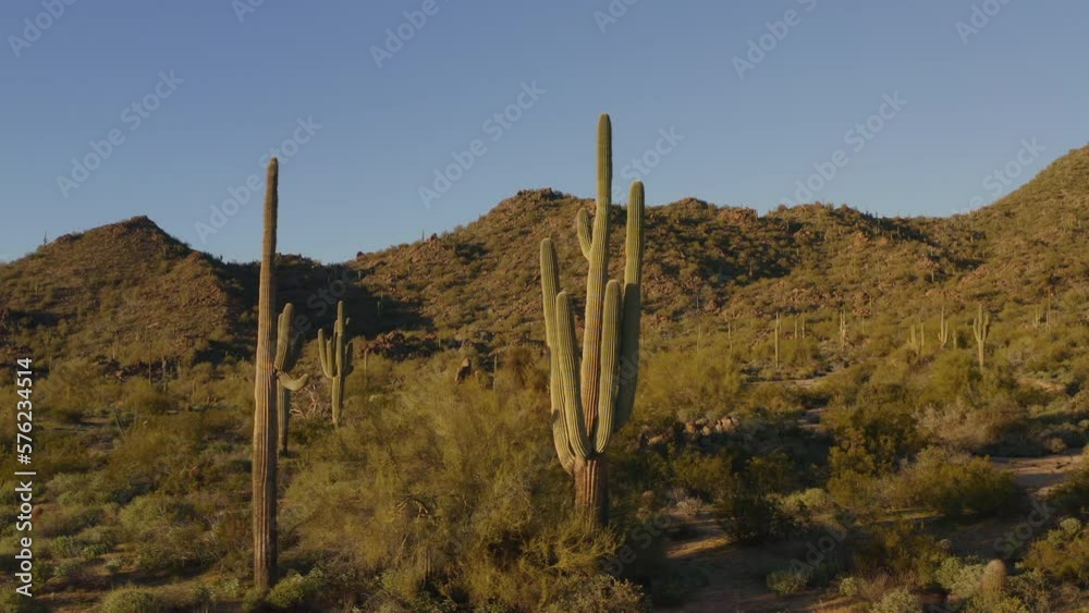 An aerial view of the Arizona desert mountain side. An aerial view of the Arizona desert mountain side.