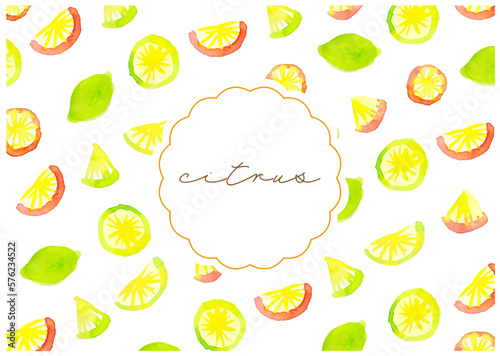 citrus pattern drawn in watercolor