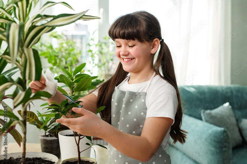 Cute girl helps take care of potted plants. She wipes green leaves of plants at home. Happy child on a spring day. Springtime. Stylish interior with lots of plants. Cute girl helps take care of potted plants. She wipes green leaves of plants at home. Happy child on a spring day. Springtime. Stylish interior with lots of plants.