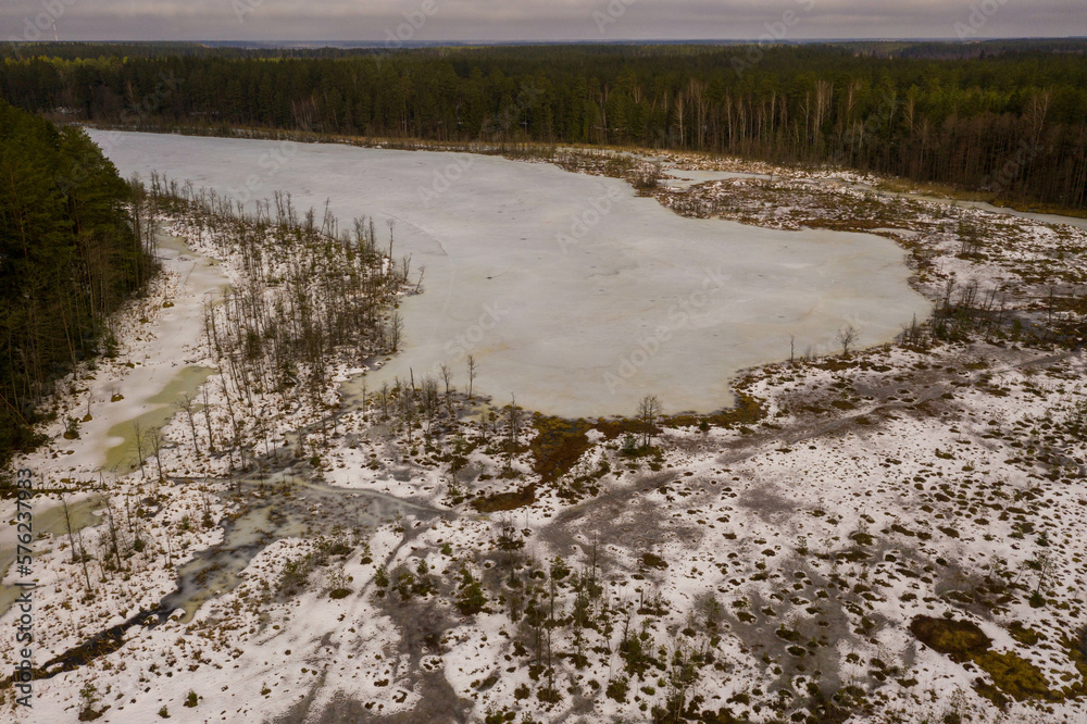 Drone photography of winter lake landscape surrounded by trees