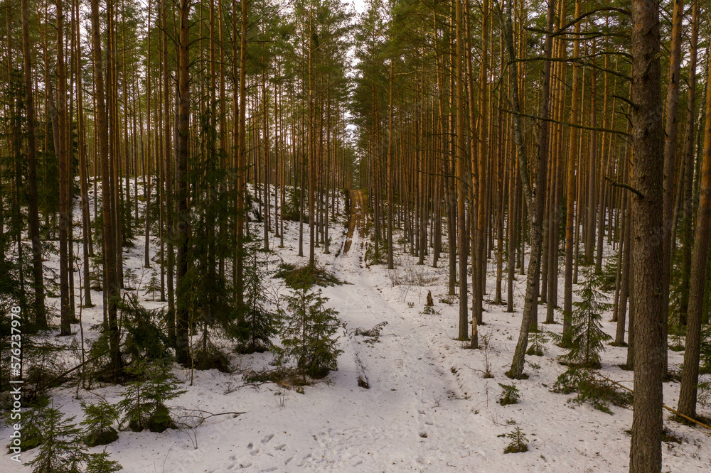 Drone photography of winter forest landscape and road Drone photography of winter forest landscape and road