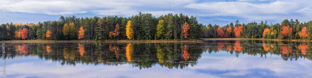 Forest reflecting in lake in autumn, Acadia National Park, Maine, USA