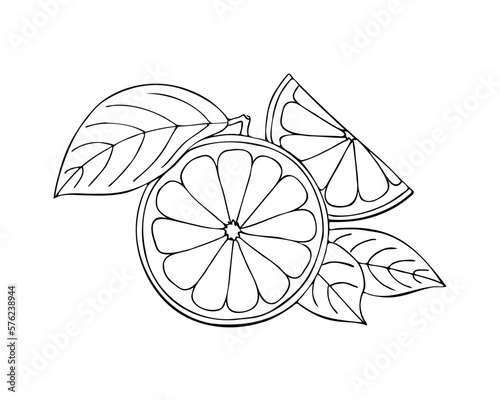 Orange line drawing doodle isolated on white background. Sketch. Vector illustration