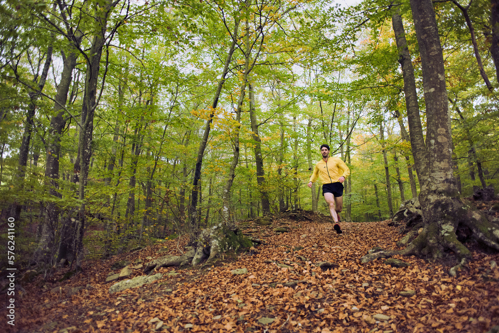 Man running in the morning through a beech forest Man running in the morning through a beech forest