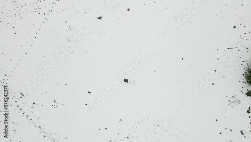 Drone overhead aerial view of man walking in snowy field alone, Israel, Odem Forest photo