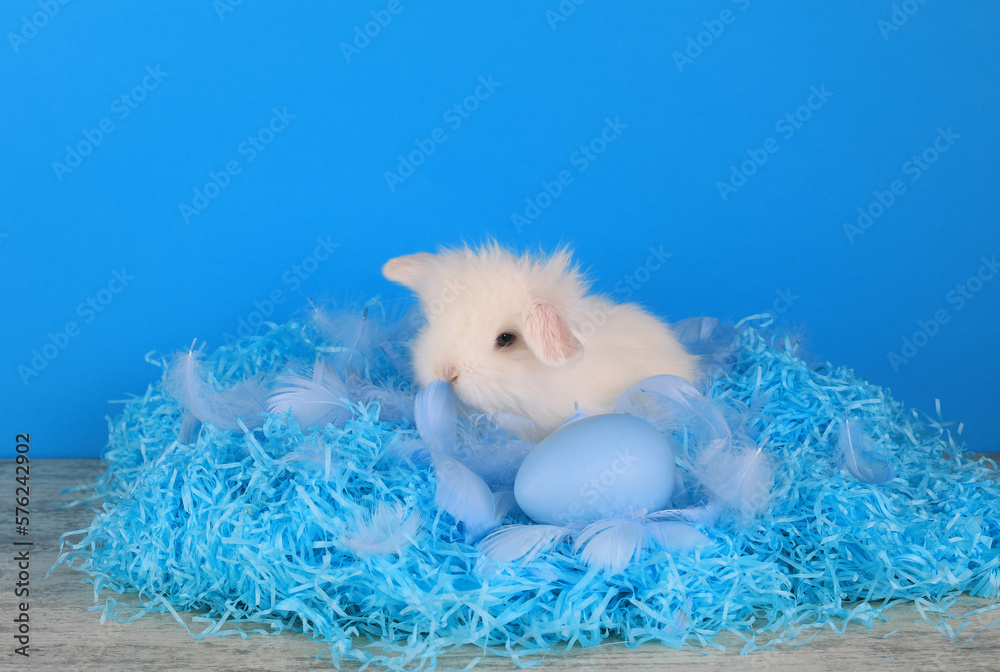 Easter, white rabbit in a blue nest on a blue background Easter, white rabbit in a blue nest on a blue background