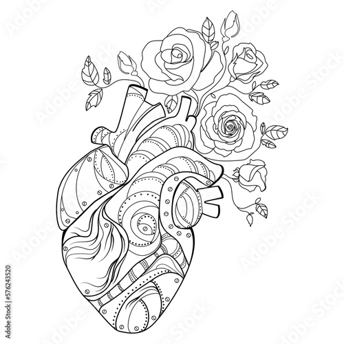 Anatomical human heart with flowers roses Line drawing vector illustration.Mechanical human heart organ with flowers growing from it,sketch drawing suyurealistic design for print,emblem,tattoo idea